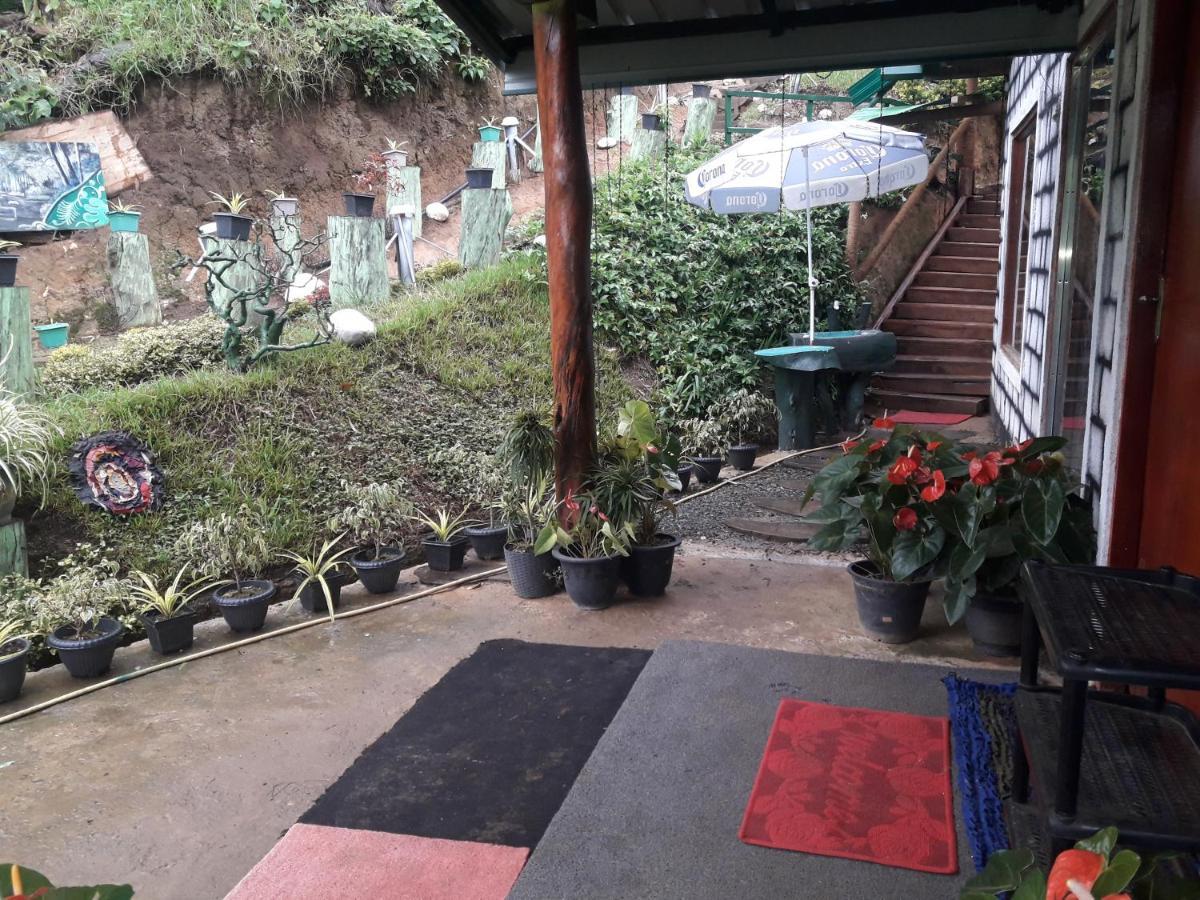 Ohiya Jungle Resort 외부 사진