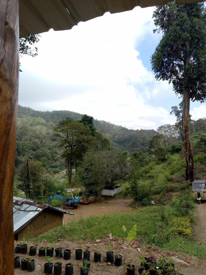 Ohiya Jungle Resort 외부 사진