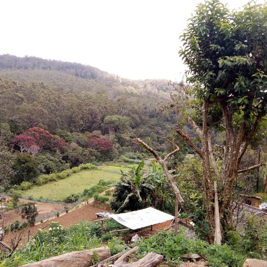 Ohiya Jungle Resort 외부 사진